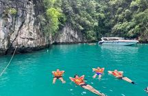 Phi Phi Island Adventure Day Tour from Phuket Speedboat/Catamaran