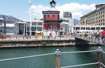 Table Mountain and Robben Island Tour