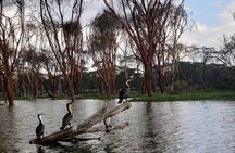Day trip to Hells Gate National Park with boat ride on Lake Naivasha