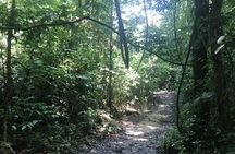 Khaosok Jungle Exploration from Khaolak