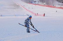 Korea Ski Tour from Seoul - Jisan Forest Resort