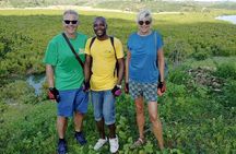 Half-Day Scenic Bike Tour