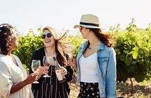 Cape Winelands Explore Full Day Tour with Private Transfer