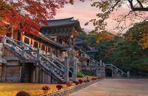 Full-Day Small Group GyeongJu History Tour from Seoul