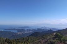 The sacred Ise Shrine, Mikimoto Island Private Tour