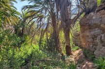 Agadir Sahara Desert & Paradise with camel ride & hotel pickup 