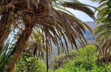Agadir Sahara Desert & Paradise with camel ride & hotel pickup 