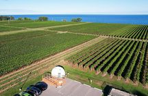 1 Hour Private Vineyard Dome Experience in Niagara-on-the-Lake