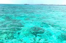 Doctors cave beach, Margaritaville,Glass bottom boat ride, and snorkeling combo