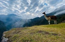 Visit Cusco & Machu Picchu in 5 Days / 4 Nights - All Inclusive