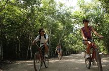 Cobá Tour Cultural Experience