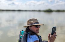 Kayak Merida