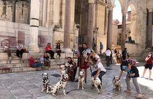 Walking Tour of Split and Diocletian's Palace 