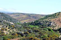Charm Valley Archaeological Tour, Shamanism and Petroglyphs