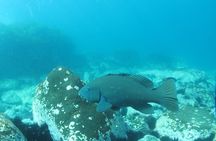3-Hour Kayak and Snorkeling Experience in Batemans Bay