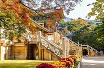 Full-Day Small Group GyeongJu History Tour from Seoul