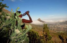 Cape Town Trail run Lion's Head to Signal Hill Morning