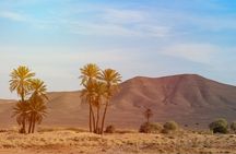 Private 3 Days Desert Exploration Trip from Errachidia