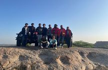Jawai Leopard Wildlife Safari