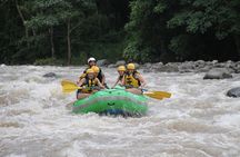 Sarapiqui rafting with organic farm