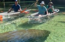 Weeki Wachee Clear Kayak Ecotours Manatee Season - November 14th-March 31st
