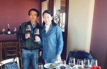  Messina Cruise Terminal: Private Taormina +Isola Bella+ Arancino