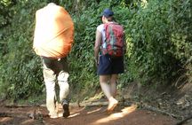 8 Days Kilimanjaro Climbing tour via the Lemosho Route