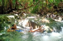 Discover Krabi - Emerald Pool, Hot Springs & Tiger Cave Temple