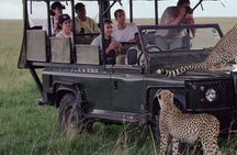 2-Day Isimangaliso Wetlands Park & Hluhluwe Imfolozi from Durban