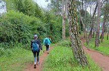 The Most Beautiful 1 Day Experience in Kathmandu Nepal