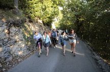 Private North Montenegro, Durmitor, Tara and Ostrog Tour