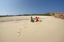 Half-Day Private Tour and Snorkeling Experience in Dimaniyat Island