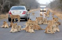 10-Day Private Tour Johannesburg to Cape Town