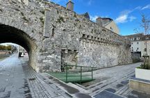 Galway Private Walking Tour
