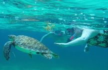 Semi-private Exclusive All-in-1 Full Day Guided Tour