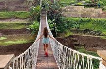 Ubud Cultural & Nature Tour: Temple, Waterfall and Rice Terrace