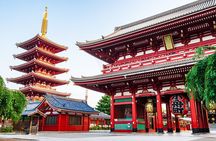 Private Tokyo Tour with Licensed Guide & Vehicle (Max 15 persons)