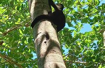 Tropical Hike in the Gandoca-Manzanillo wild life Refuge
