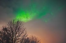 Aurora Hunt with BBQ in Rovaniemi