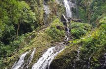 El Tigre Waterfalls Hiking Tour with Lunch and Nature Guide 