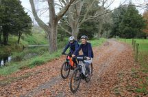 Full Day Ebike Tour in Karangahake Gorge (ex Auckland)