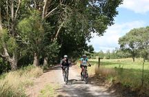 Full Day Ebike Tour in Karangahake Gorge (ex Auckland)