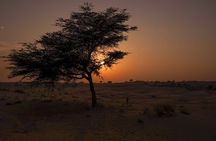 Jodhpur overnight desert camping with camel safari Jodhpur