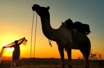 Jodhpur overnight desert camping with camel safari Jodhpur