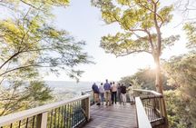 Sunshine Coast Hinterland Scenic Culinary Experience: Montville