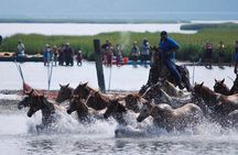 Chincoteague Pony Swim Kayak Tour 2025 with shuttle
