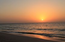 Private Half-Day Muscat City At Night Tour