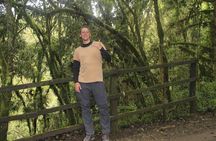 7 Days Machame Route Kilimanjaro Hiking | Climbing Tour 