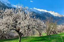 9-Day Package Tour Colors of Hunza Valley 
