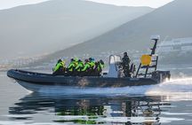 Tromsø: Skjervøy RIB Whale Watching Tour with Drinks & Snack
